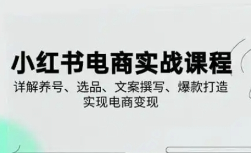 小红书从0-1实操课(2023-2025)，详解养号、选品、文案撰写、爆款打造实现电商变现-优途资源网