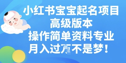 小红书宝宝起名项目高级版本，操作简单，资料专业，月入过W-优途资源网