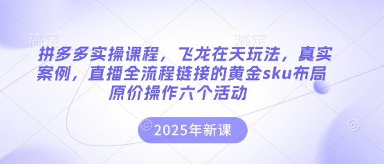 拼多多实操课程,飞龙在天玩法,真实案例,直播全流程链接的黄金sku布局原价操作六个活动-优途资源网