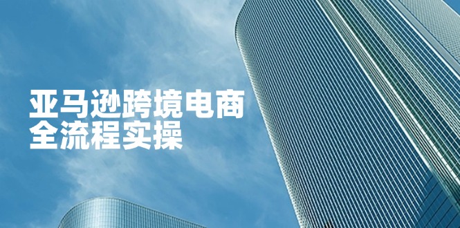 (14252期)亚马逊跨境电商全流程实操,教你从零开始,掌握店铺运营与广告技巧-优途资源网