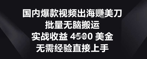 国内爆款视频出海挣美刀，批量无脑搬运，实战收益4.5k，无需经验直接上手-优途资源网