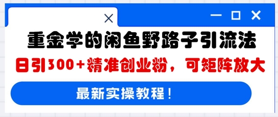 重金学的闲鱼野路子引流法，日引300+精准创业粉，可矩阵放大-优途资源网
