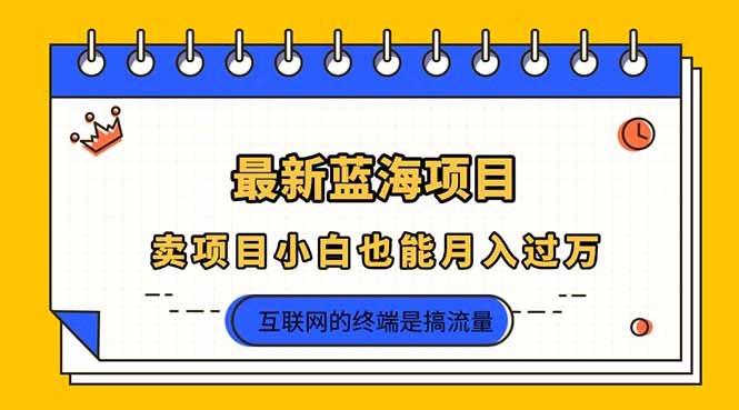 （14289期）2025年最新蓝海项目，卖项目小白也能月入过万-优途资源网