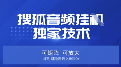 【搜狐音频挂G】独家技术,可矩阵可放大,红利期稳定月入8k【揭秘】-优途资源网