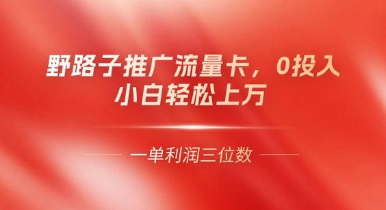 0门槛推广流量卡,一单收益上百,0投入,小白月入过W-优途资源网