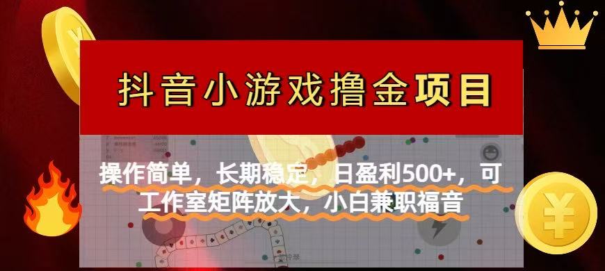 （14290期）【抖音小游戏发行人计划项目】操作简单，长期稳定，日盈利500+，可工作...-优途资源网