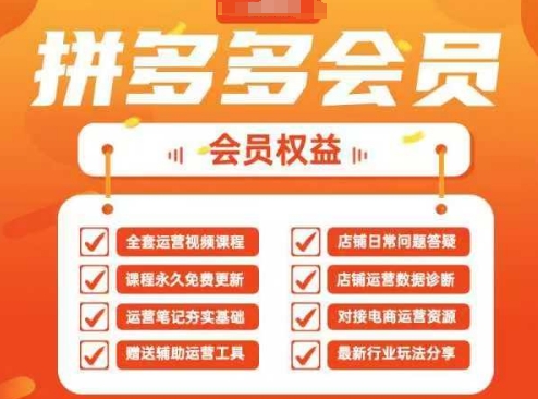2025拼多多运营实战课，40节全流程教学，覆盖拼多多运营全链路-优途资源网