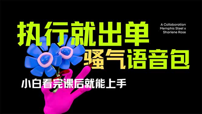 (14170期)爆火全网的开车导航骚气语音包,只要执行就出单,小白看完课程就能实操...-优途资源网