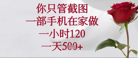 你只管截图，一部手机在家操作，一小时120.一天5张【揭秘】-优途资源网