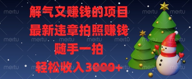 解气又挣钱的项目，最新违章拍照挣钱，随手一拍，轻松收入数张【揭秘】-优途资源网
